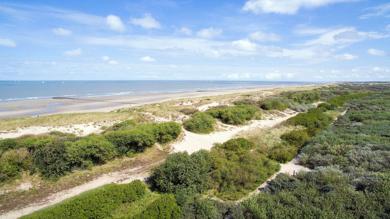 AreaSummer1KM AreaSummer1KM